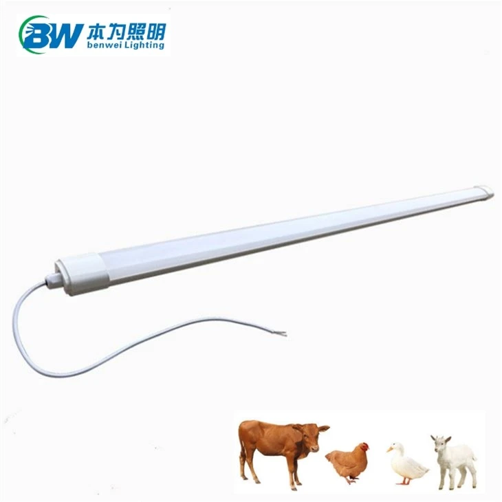 Poultry LED Tube Lights Waterproof Dimmable