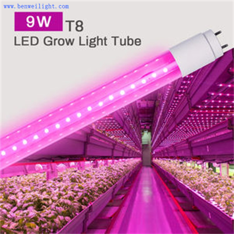 product-750-750