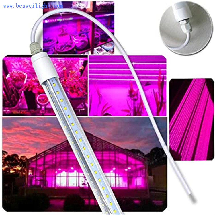 product-750-750