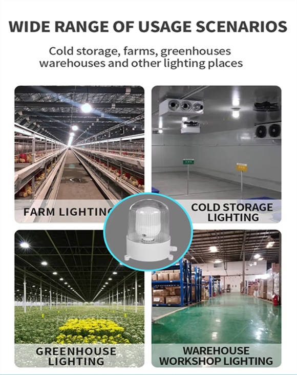 product-580-730 product-580-730