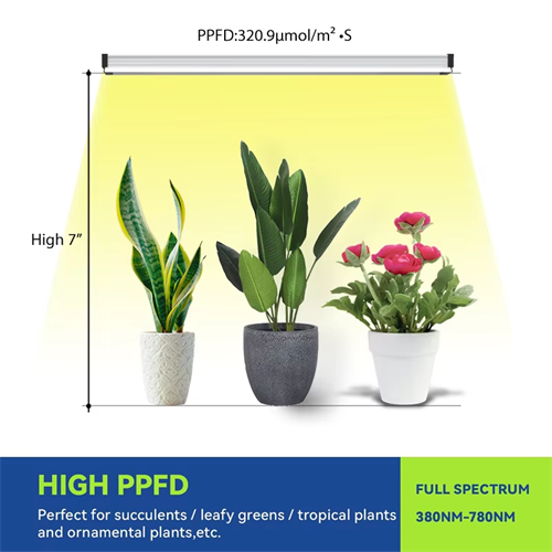 product-500-500