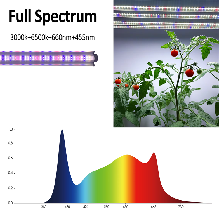 product-750-750 product-750-750