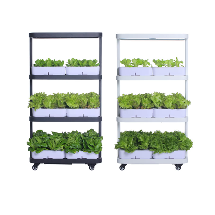 product-750-750
