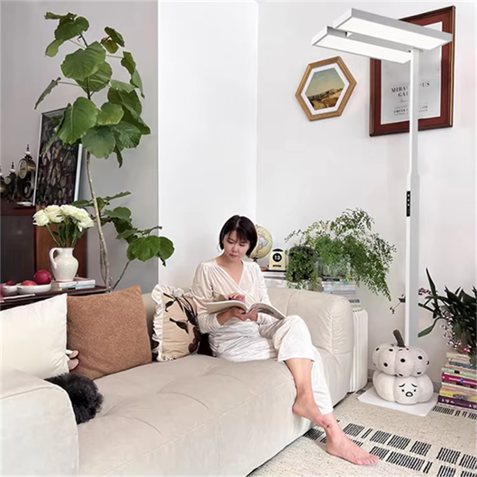 product-685-685