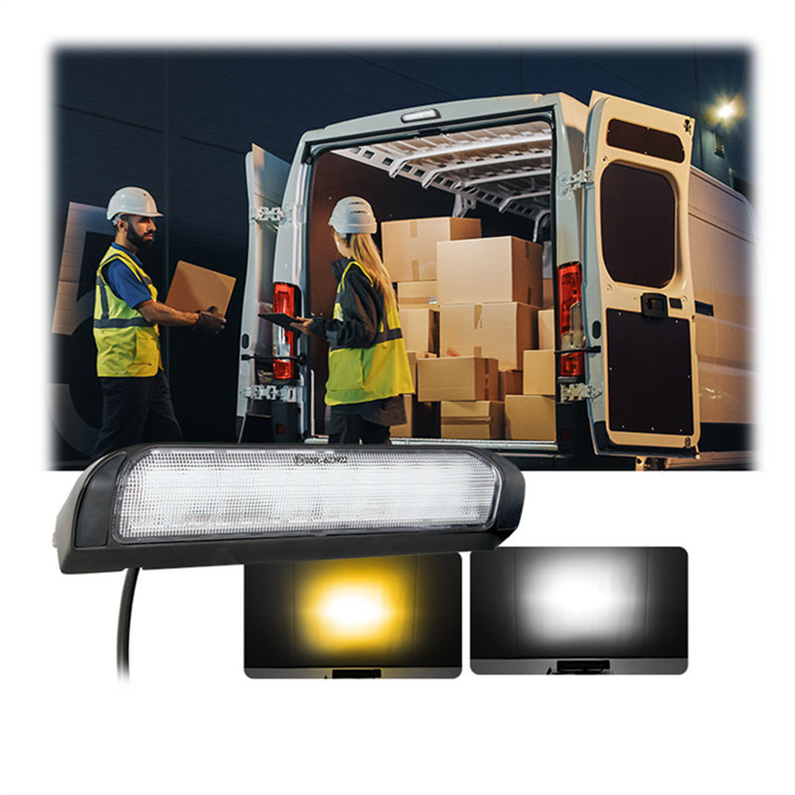 R10 RV Dhttps://admin.seo.com.cn/CustomerAdmin/IPSsual-Color Exterior Light (5/9