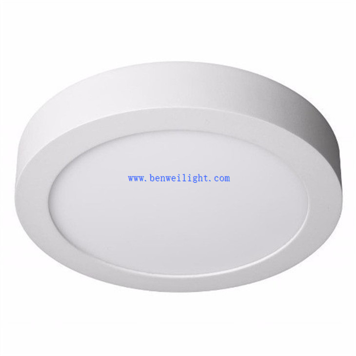 Ring-shaped Surface Mount Light (1)