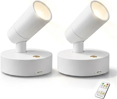 Wireless Art Spotlight With Remote And Touch Control