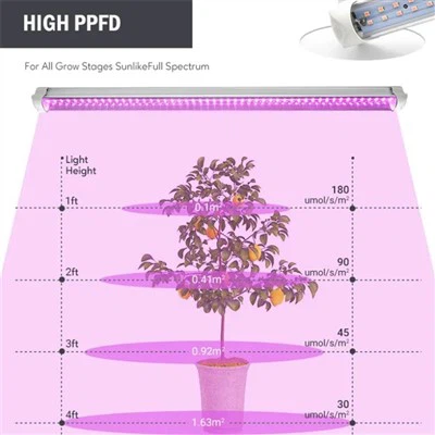 Best Grow Lights For Indoor Plants