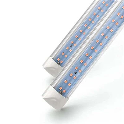 Best Grow Lights For Indoor Plants