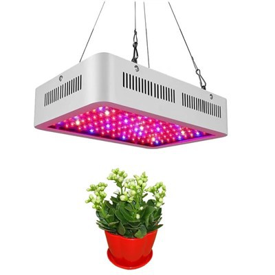 Dimmable 1000W Full Spectrum Led Grow Light