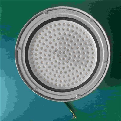 142W downlight