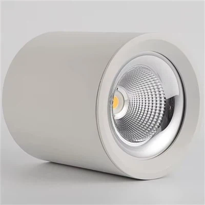 LED Surface Mounted Downlight Dimmable 50W
