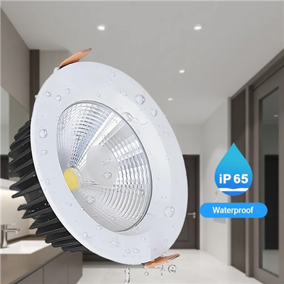 Ledinaire Recessed Downlight