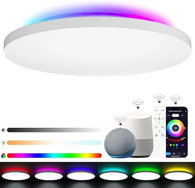Dimmable LED Ceiling Light 24W 2400lm, Ceiling Light With RGB Backlight Control Remote Control And APP