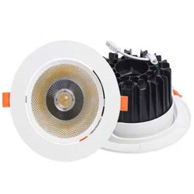 Recessed LED Adjustable Ceiling Light