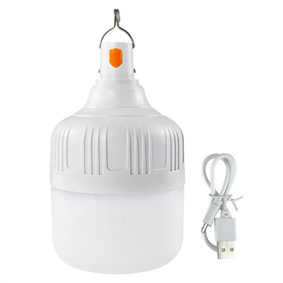 USB C Rechargeable Light Bulb With Remote Control, 7W Battery Powered Lamp