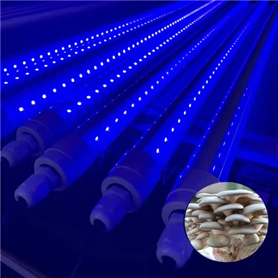 UVA UVC T8 T5 Tube