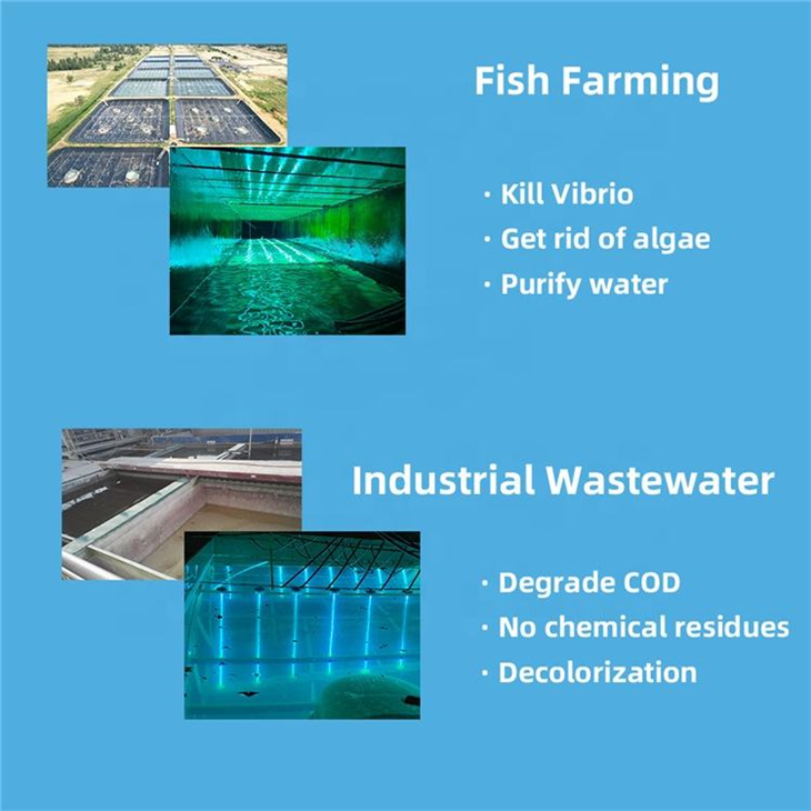 Submersible 254nm UVC Sterilizer For Pools & Fish Tanks factory