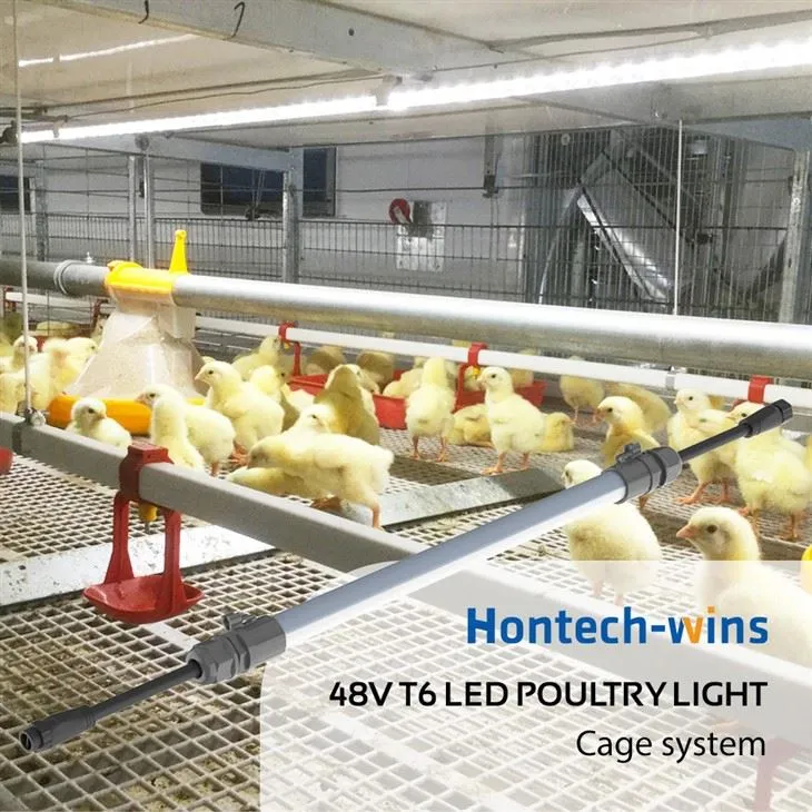T6 LED Chicken Growth Light Tube - Waterproof, Flicker-Free, Poultry Lighting For Chicken Farms
