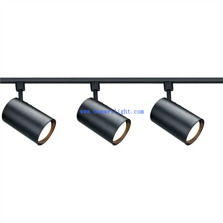 Track Light (2)