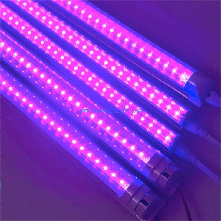 UV Disinfection Light (2)