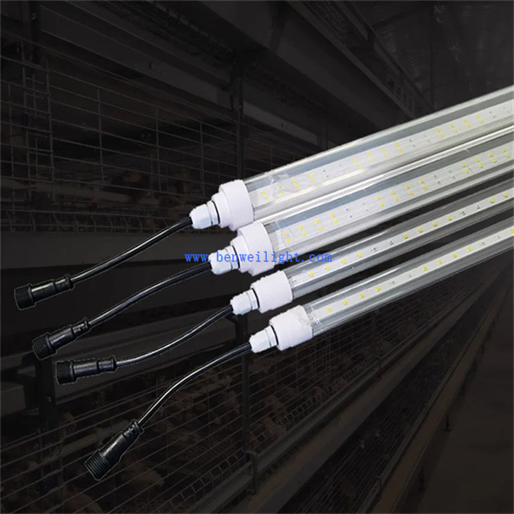 Weatherproof Tube Lights For Chicken Coop (1)